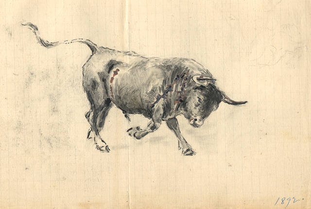 Toro de lidia