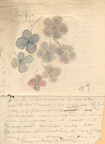 Esperanza