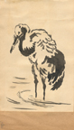 Garza