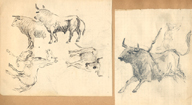 Tres toros y un caballo