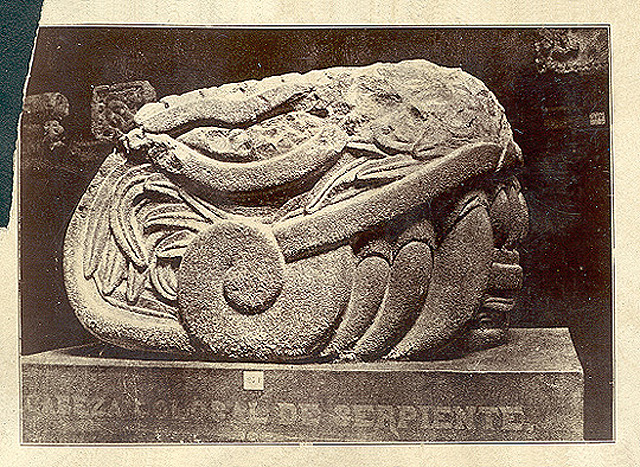 Cabeza colosal de serpiente