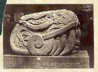 Cabeza colosal de serpiente