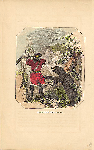 Trapping de bear