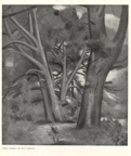 Paysage