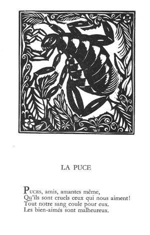 La puce