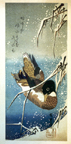 Hiroshigu: Wild Duck in snow