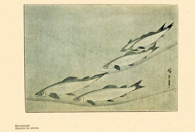 Hiroshigu: Estudio de peces