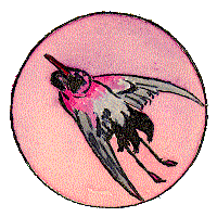 Garza