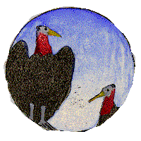 Zopilotes