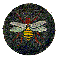 Abejorro